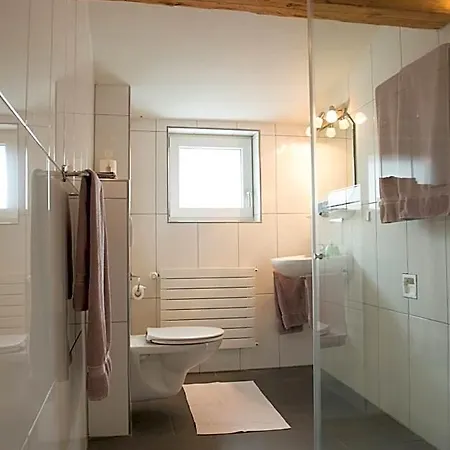 Hirschen Hotel 3*