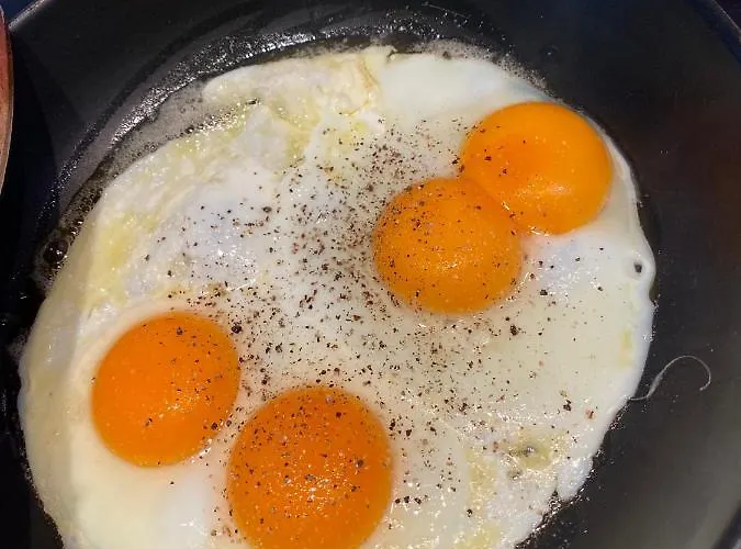 Hirschen 迈恩费尔德