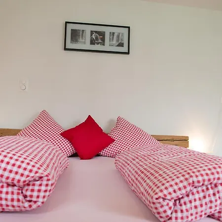 Otel Hirschen 3*